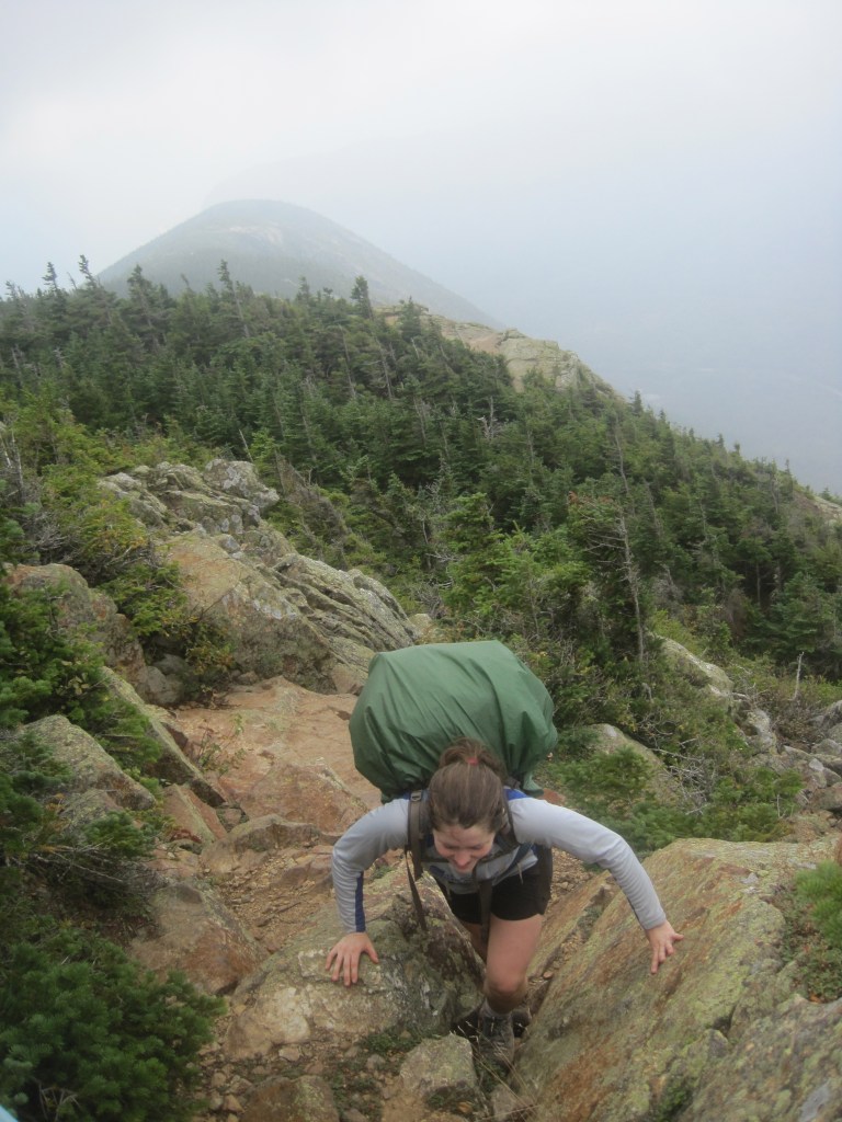 Veggie show's some tenacity.