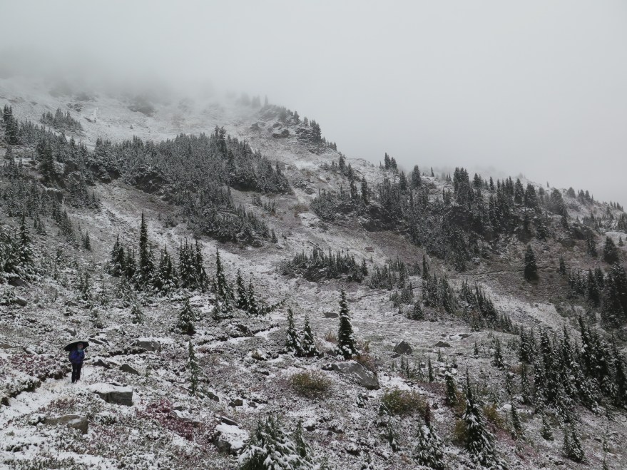 Veggie ventures into Labor Day snowfall.